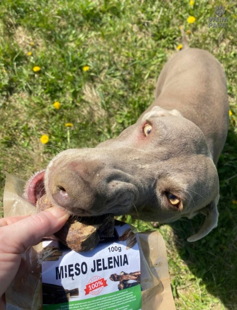 JELEŃ - mięso jelenia w kawałkach,naturalny przysmak 100g