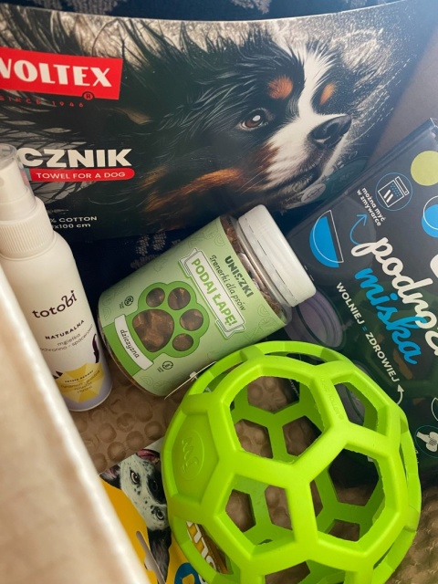 Box na majówkę dla psa