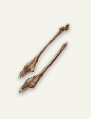 Ścięgno Achillesa z jelenia - 2 szt. - naturalny gryzak dla psa